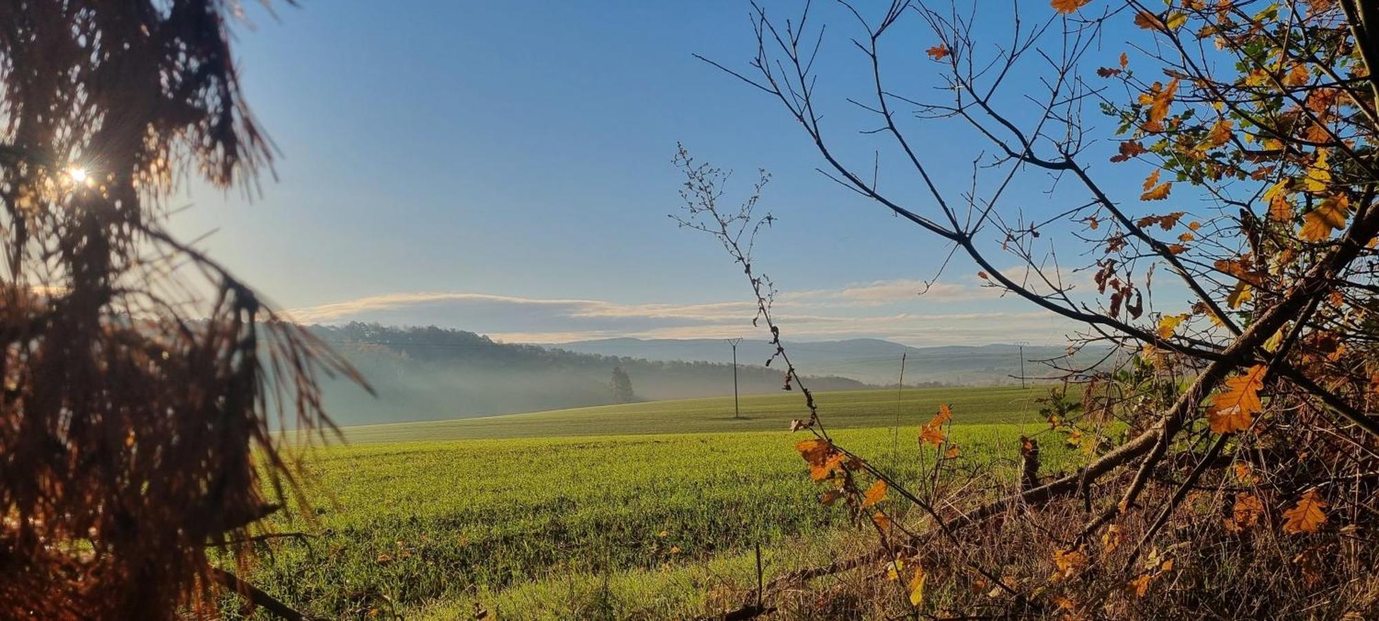 Ferienapartment Haus Am Gruen 2 "Sunshine" - Ruhe & Entspannung Mitten In Der Natur Herzberg am Harz Eksteriør billede