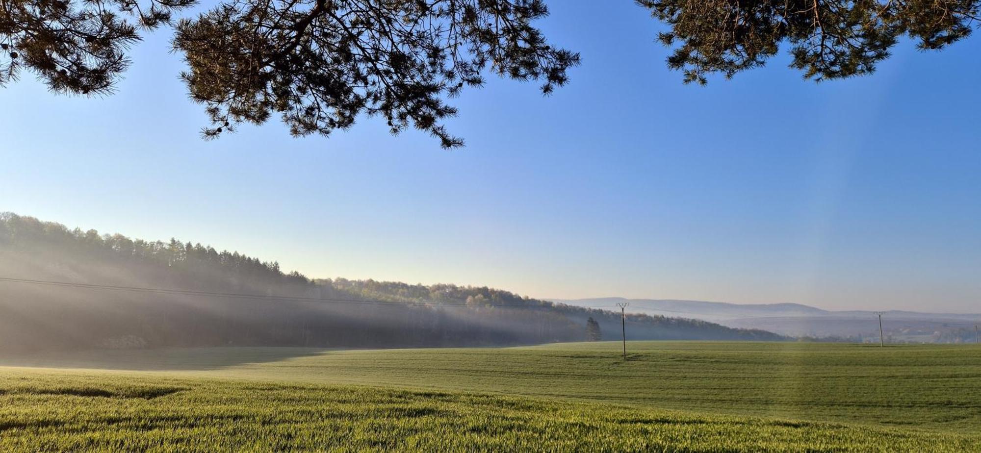 Ferienapartment Haus Am Gruen 2 "Sunshine" - Ruhe & Entspannung Mitten In Der Natur Herzberg am Harz Eksteriør billede